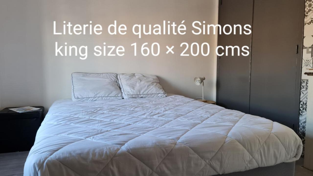 Le Studio De La Republique Agde Exteriör bild