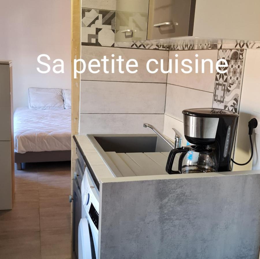 Le Studio De La Republique Agde Exteriör bild